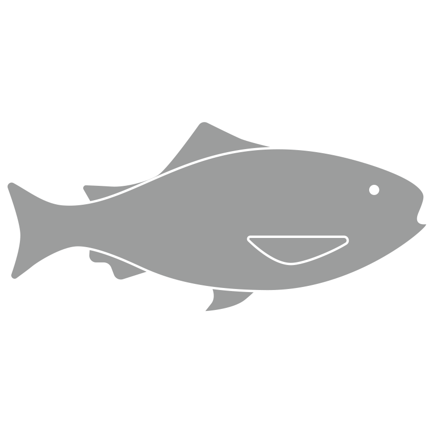 Fisch Icon von Komet